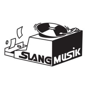 Profile picture for Slang Musik