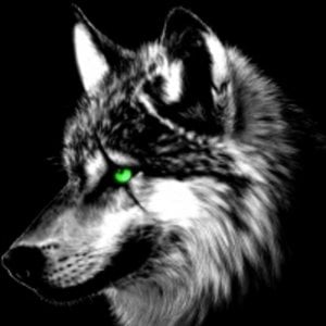 Profile picture for LG77