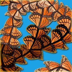 Profile picture for Sarah Hatton