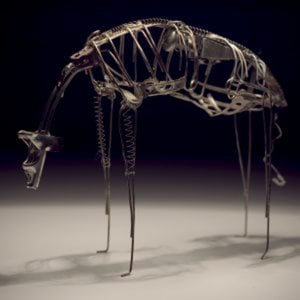 Profile picture for Adam Bizanski