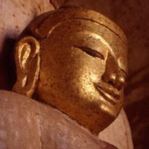 Profile picture for Insight Meditation Center