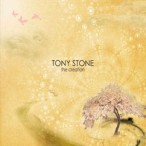 Profile picture for Tony Stone