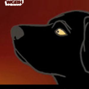 Profile picture for WGBH Lab