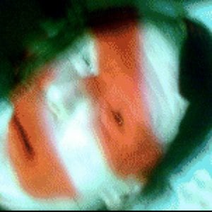 Profile picture for henri van zanten