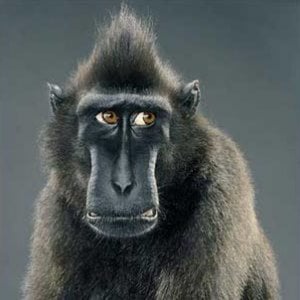 Profile picture for Marcin Dzieniszewski