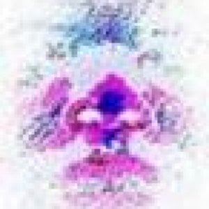 Profile picture for SilverlagE