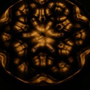 Profile picture for gabriel kelemen