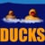 Two Grateful Ducks
