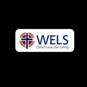 Profile picture for WELS Streams