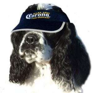 Profile picture for Bente Sand