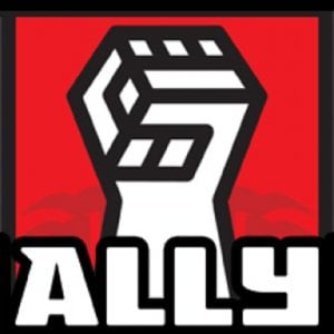 Profile picture for Ally Video