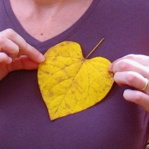 Profile picture for Lisa Creech Bledsoe
