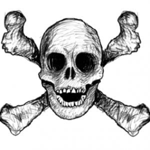 Profile picture for ocho