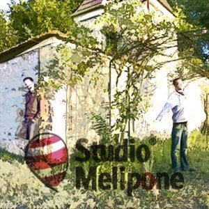 Profile picture for Studio Melipone