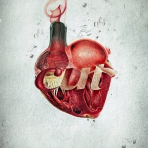Profile picture for ilovecut
