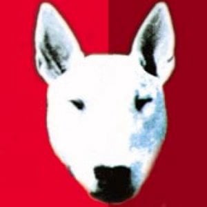 Profile picture for Marcos Piolla
