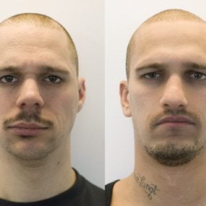 Profile picture for They Will Never Catch Us