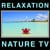 Greg Voevodsky / WavesDVD.com