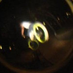 Profile picture for Danny Calderón