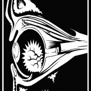 Profile picture for Noisevision