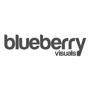Profile picture for Blueberry Visuals