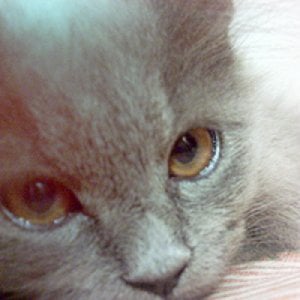 Profile picture for yan
