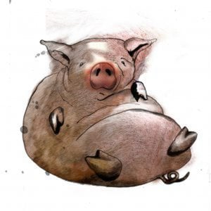 Profile picture for Elisa Navarro