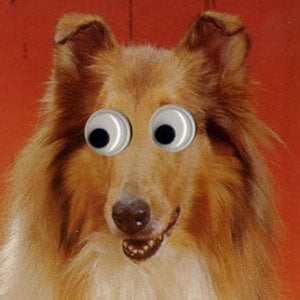 Profile picture for PETER PINT