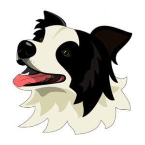 Profile picture for Jonathan Merritt