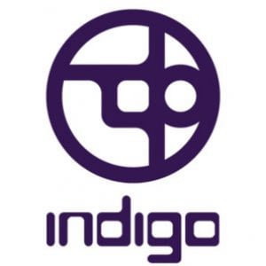Profile picture for Indigo