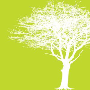 Profile picture for The Paradigm Shift Project