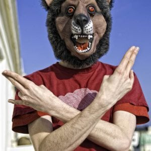 Profile picture for Scott Coello