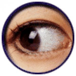 Profile picture for Brendhan J. Horne