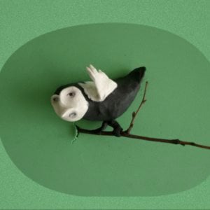 Profile picture for Sigrid Astrup