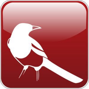 Profile picture for Tobias Straka