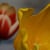 Stamen
