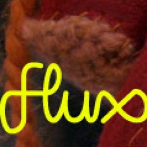 Profile picture for Flux