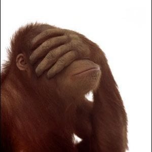 Profile picture for Mr Cpoley