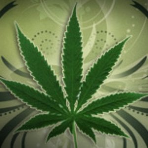 Profile picture for legalizeit