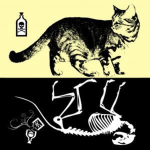Profile picture for Dead Video / Live Video Festival