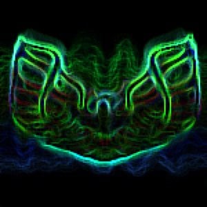 Profile picture for Firebird