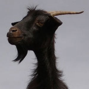 Profile picture for Mikel Madina