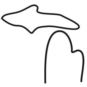 Profile picture for MIPAMSU