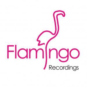 Profile picture for FlamingoRecordings