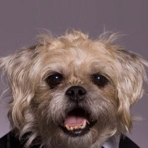 Profile picture for Brad Rudacille