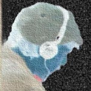 Profile picture for Falesch