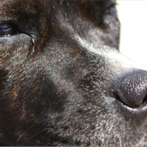 Profile picture for Artis Dzerve
