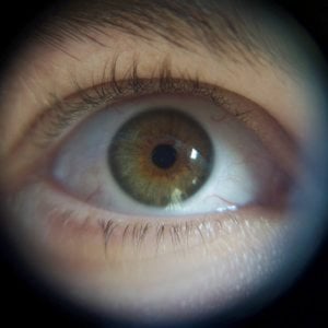 Profile picture for Alex Maxwell