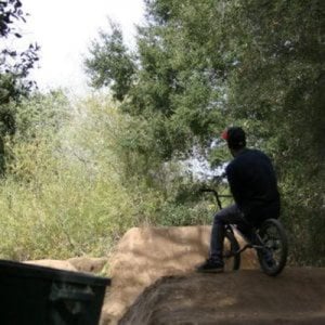 Profile picture for Andrew Jackson