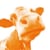 Velocity Cow